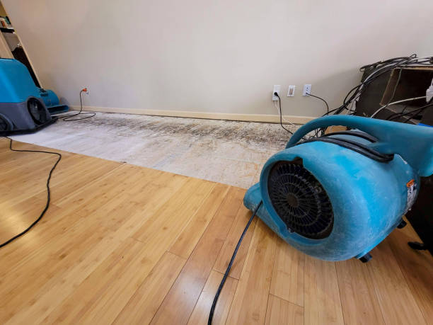 Professional Basement Flood Cleanup technician working in Sheffield, IA